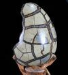 Septarian Dragon Egg Geode - Black Crystals #72049-3